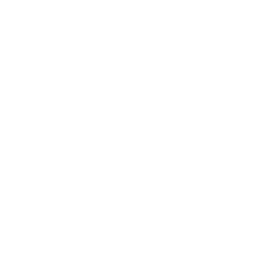 Logo AP 2.0